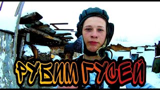 Зарубили гусей на мясо. Как забить гуся.