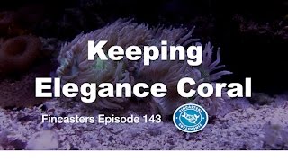Keeping Elegance Coral Fincasters Episode 143
