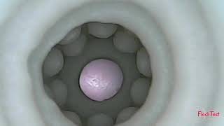 Fleshlight Lana Rhoades Karma texture – inside cam [720p]