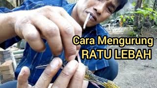 Memindahkan Lebah Madu dan Cara Membuat Kurungan Ratu