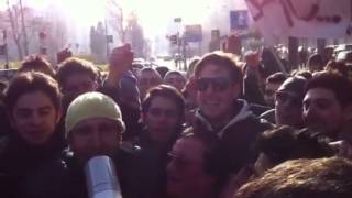 Leone di lernia - ultras dei vip