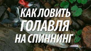 ЛОВЛЯ ГОЛАВЛЯ НА СПИННИНГ. РЫБАЛКА НА КУБАНИ