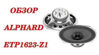 Обзор бюджетных широкополосных динамиков Alphard ETP1623 - Z1