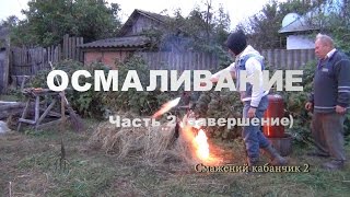 Смажений кабанчик 2, осмаливание ч 2, завершение