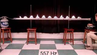 The Rubens' Flame Tube: Seeing Sound Through Fire