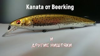 Kanata от Beerking супер воблер. Каната от беркинг и другие ништяки . Обзор плюс тест на воде .