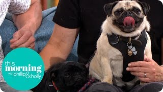 Is Your Dog Gay? Meet the Lesbian Pugs | This Morning