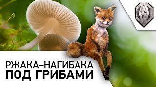 Ржака Нагибака