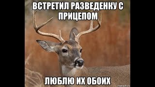 Рсп(разведёнки) всегда будут скакать по куям  во время ссоры!!!!