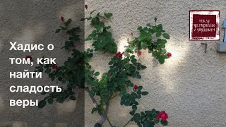 Хадис о том, как найти сладость веры / Абу Хамза аль-Башкурди