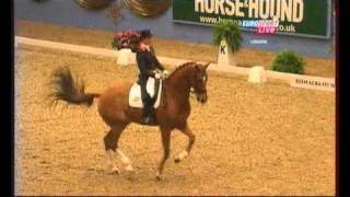 Adelinde Cornelissen & Parzival Kur 83,550% FEI WORLD CUP DRESSAGE 2010 UK London Olympia