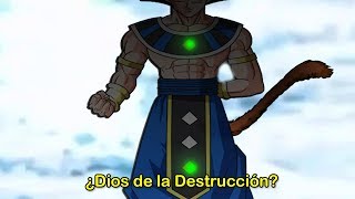 Dragon Ball Super 2018 | ¿Un saiyajin Dios de la Destrucción? | Dash Aniston