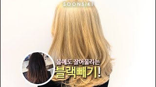 홍대미용실 순시키헤어 봄에도 잘 어울리는 블랙빼기! [koreahair seoulhair hongdaehair]