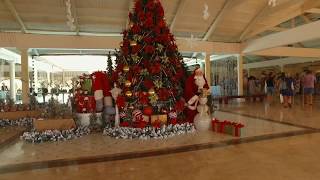 Обзор отеля IBEROSTAR PUNTA CANA 5* (Пунта Кана) Доминикана
