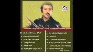 Neşet Ertaş - Gönül Ne Gezersin Seyran Yerinde
