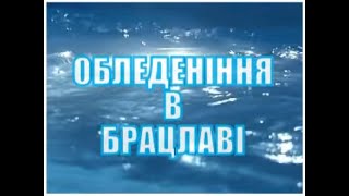БРАЦЛАВ.Архів.Обледеніння 2000 року