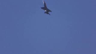 Siivet - Wings Live - Sotilasilmailusta ammatti 16.5.2017 / Satakunta Air Command Air Show 16.5.2017