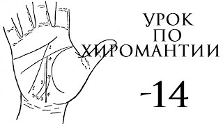 14. хиромантия. линия жизни, знаки и комбинации