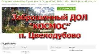 Заброшенный ДОЛ "КОСМОС" | есть охрана / Сталк / Цвелодубово / Ленинградская область