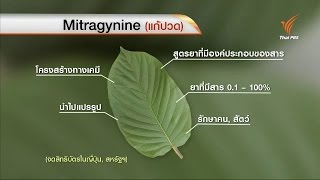 แกะรอยที่มาจดสิทธิบัตร "กระท่อม" ของญี่ปุ่น