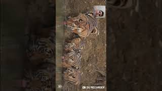 Не засмейся челлендж 1 серия