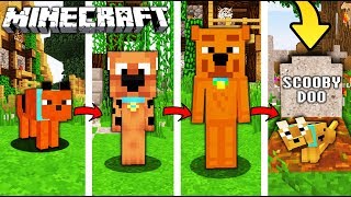 ŻYCIE SCOOBY-DOO W MINECRAFT || OD NARODZIN DO ŚMIERCI