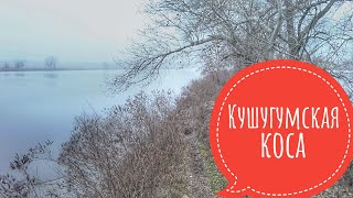 Тарань.Рыбалка в Запорожье 2020. Кушугумская коса
