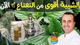 لماذا الشيبة أفضل من النعناع في فصل البرد ؟! اكتشف فوائد النعناع (علاج الزكام) .. ?مع نبيل العياشي