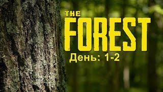 The Forest