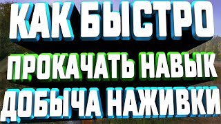 ●●●Русская Рыбалка 4●●●Как быстро прокачать навык добыча наживки?●