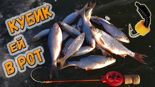 Лесотка с оранжевым кубиком - угощение для зимней плотвы - безмотылка плюс!