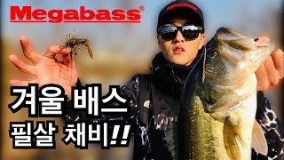 'Megabass 특집' 겨울 배스낚시 꿀팁 빅배스를 잡는 방법 (feat.양성훈)