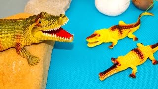 Мультик для детей. Крокодил. Тяните за нос! Игрушки видео