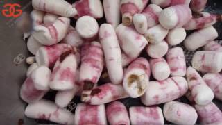 Cassava Washing And Peeler Machine