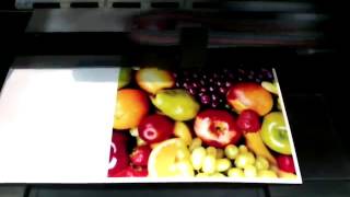 epson xp100 eco solvent Modify ink ศรีราชา