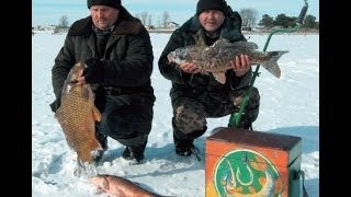 Зимняя рыбалка видео бесплатно Смотри видео о зимней рыбалке 2015 Рыбалка зимой 2015