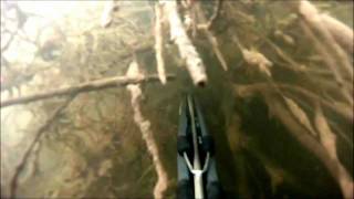Подводная охота 6 ноября 2011 года