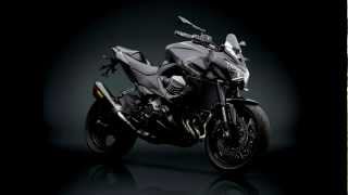 New Kawasaki Z800 Limited Edition Akrapovic, Rizoma and Custom Parts