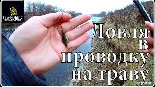Ловля на траву в проводку осенью. Ловля на поплавок. Река Дон.(LiveFishing)