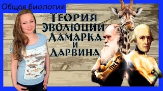 Теория эволюции Ламарка и Дарвина (сравнение). Урок биологии №70.
