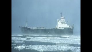 «Боролись за жизнь полтора суток» судно "Механик Тарасов" cvget
