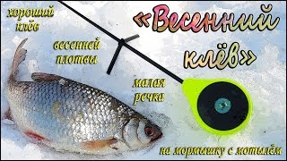 Хороший клёв весенней плотвы на мормышку с мотылём, малая речка - "Весенний клёв"