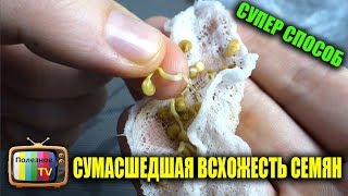 СУМАСШЕДШАЯ ВСХОЖЕСТЬ ЛЮБЫХ СЕМЯН СУПЕР СПОСОБ