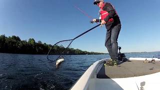 3 Hot Bass-Fishing Trends