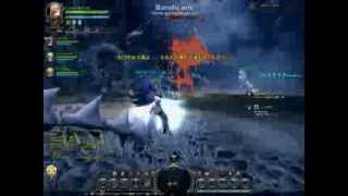 [Dragon Nest] level 40 Elemental lord party gameplay