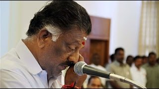 O Panneerselvam Sworn in As New Chief Minister of Tamil Nadu after Jayalalitha's Death