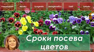 Сроки посева цветов на рассаду