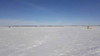 Карась.подледный лов. Озеро Яровое Курганская область 9.03.2019года