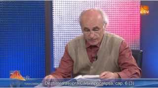 321. Zaharia Bica - Dezbateri asupra Cartii Apocalipsa, cap. 6 (3)