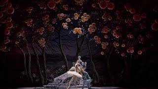 Спящая Красавица в Михайловском театре / The Sleeping Beauty at the Mikhailovsky Theatre